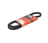 Cinghia Poly-V GATES 6477MC