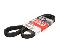 GATES Cinghia Poly-V 6DPK1195 VW,SKODA,AUDI,Golf IV Hatchback (1J1),New Beetle Hatchback (9C1, 1C1),SHARAN (7M8, 7M9, 7M6),New Beetle Cabrio (1Y7)