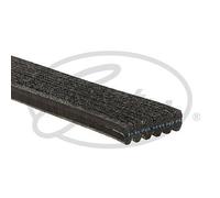 GATES 6DPK1698 Cinghia servizi Cinghia Poly-V Cinghia alternatore Cinghia dei servizi