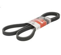 Gates Cinghia Poly-V 6DPK1825 – multirighe, cinghia servizi