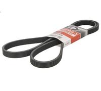 GATES 6DPK1838 Cinghia servizi nero