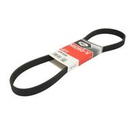 Cinghia Poly-V GATES 6PK1000
