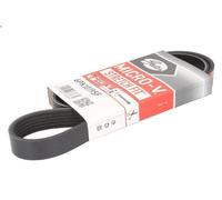 Cinghia poly-V GATES 6PK1019SF MAZDA 2 (DY) 1.2 2003-2007