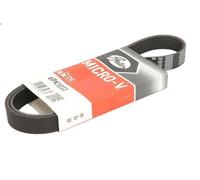 Cinghia poly-V GATES 6PK1033 INFINITI G20 2 1990-1996