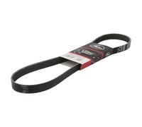 Gates Cinghia Poly-V 6PK1033EST Micro-V E-start per Audi Skoda VW Kia Seat Hyundai
