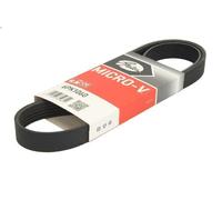 Cinghia Poly-V GATES 6PK1060 per ALFA ROMEO GT (937_) 2 2003-201