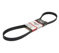 Cinghia Dei Servizi E Accessori Gates 6pk1113