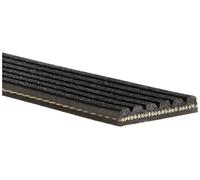Cinghia poly-V GATES 6PK1120EST per AUDI A6 C8 (4A2) 2 2019-