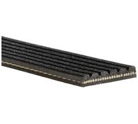 Cinghia Poly-V GATES 6PK1120EST per AUDI A6 C8 (4A2) 2 2019-