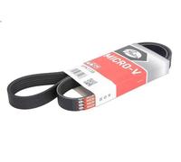 Cinghia poly-V GATES 6PK1138 per ARO 10 1.9 1992-2006