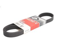 Cinghia poly-V GATES 6PK1148 per INFINITI EX 2.5 2010-2013