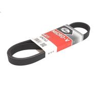 Cinghia poly-V GATES 6PK1163 per BMW 1 (F20) 2 2016-2019