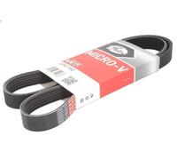 Cinghia poly-V GATES 6PK1183 per MG ZR 2 2001-2005