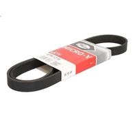 Cinghia poly-V GATES 6PK1218 GAZ VOLGA 2.3 1992-2003