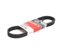 Cinghia Poly V Gates 6PK1225 Micro-v® per Citroën Fiat Ford Peugeot Toyota Kia