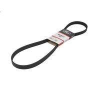 Cinghia poly-V GATES 6PK1245 FORD KUGA I 2 2010-2012