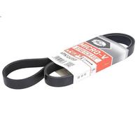 Cinghia poly-V GATES 6PK1249SF per VOLVO V50 (545) 2 2006-2012
