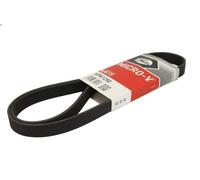 Cinghia poly-V GATES 6PK1250 VOLVO 850 (854) 2 1991-1996