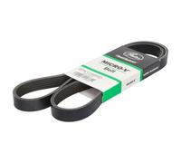 GATES 6PK1298HD Cinghia servizi