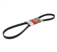 Cinghia poly-V GATES 6PK1310 FORD KA (RU8) 1.3 2008-2016