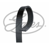 Cinghia Poly-V GATES 6PK1320 ALFA ROMEO FIAT OPEL SUZUKI VAUXHALL