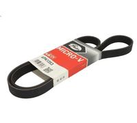 Cinghia poly-V GATES 6PK1353 DODGE STRATUS 2 1995-2001