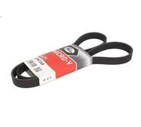 Cinghia poly-V GATES 6PK1368 per GAZ VOLGA 2.3 1992-2003