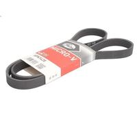Cinghia poly-V GATES 6PK1428 per BMW 6 (E63) 5 2005-2010