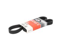 Cinghia Poly-V GATES 6PK1463