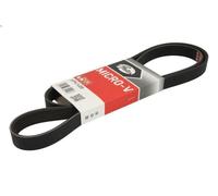 Cinghia poly-V GATES 6PK1488 per TOYOTA COROLLA (_E11_) 1.9 2000-2001