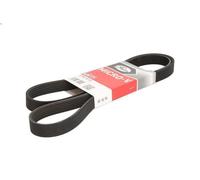 Cinghia poly-V GATES 6PK1513 per BMW 3 (E36) 3 1994-1995