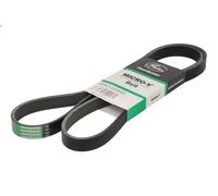 Cinghia poly-V GATES 6PK1570HD per IRISBUS MY WAY 7.79 2002-2007