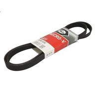 Cinghia poly-V GATES 6PK1590 AUDI A5 (8T3) 2 2008-2013