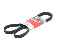 Cinghia Poly-V GATES 6PK1600