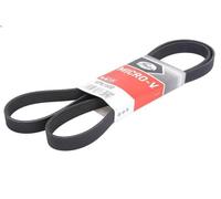 Cinghia poly-V GATES 6PK1600 per PEUGEOT 406 (8B) 3 1996-2004