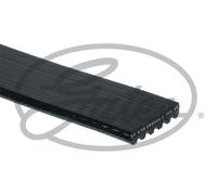 Gates Cinghia servizi 6PK1605 Poly‑V Micro‑V® Nero