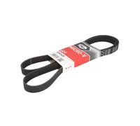 GATES CINGHIA SERVIZI POLY V