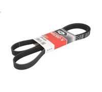 Cinghia poly-V GATES 6PK1605 per BMW 1 (E81) 2 2006-2011