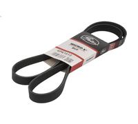 Cinghia poly-V GATES 6PK1613 per AUDI A3 (8P1) 3.2 2003-2009