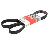 Cinghia poly-V GATES 6PK1640 per ARO 10 1.9 1992-2006