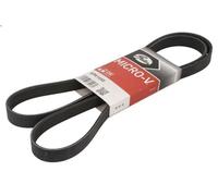 Cinghia poly-V GATES 6PK1650 per CITROEN XM (Y4) 2 1994-2