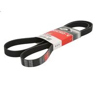Cinghia poly-V GATES 6PK1685 per BMW 1 (E87) 2 2004-2007