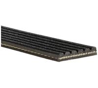Cinghia Poly-V GATES 6PK1730 per DODGE AVENGER 2 2007-2011
