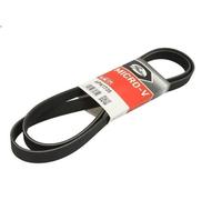 Cinghia poly-V GATES 6PK1735 per BMW 3 (E46) 1.6 2000-2005