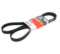 Cinghia poly-V GATES 6PK1740 BUICK SKYLARK 3.1 1994-1999