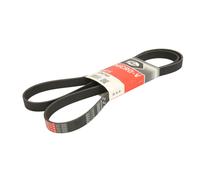 Cinghia trapezoidale multirighe 6PK1745 GATES per VOLVO FORD CITROËN SKODA