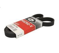 Cinghia poly-V GATES 6PK1750 per PEUGEOT 406 (8B) 2 1998-2001