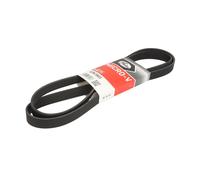 Cinghia Poly-V GATES 6PK1803
