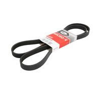 Cinghia Poly-V GATES 6PK1810