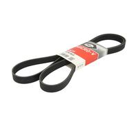 Cinghia Poly-V GATES 6PK1845